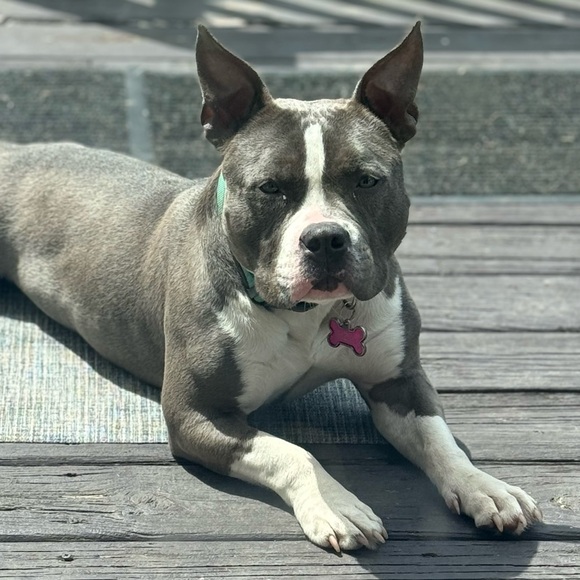 🌻 Jaime Marie Fine Art and Boutique - About Me! 🌻 - Picture 7 of 10